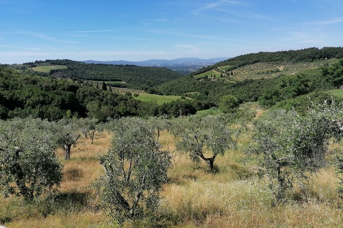 Tuscany Vintage Fiat 500 Tour With Tasting From Florence - Common Questions
