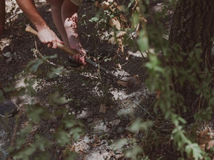 Tuscany: Volterra Truffle Hunting Experience - Booking and Cancellation Information