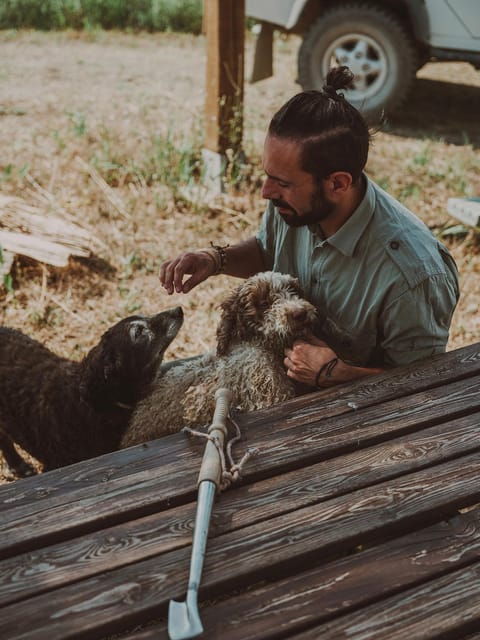 Tuscany: Volterra Truffle Hunting with Lunch or Dinner - Who Will Love This Tour?