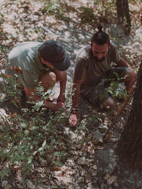 Tuscany: Volterra Truffle Hunting with Lunch or Dinner - FAQs