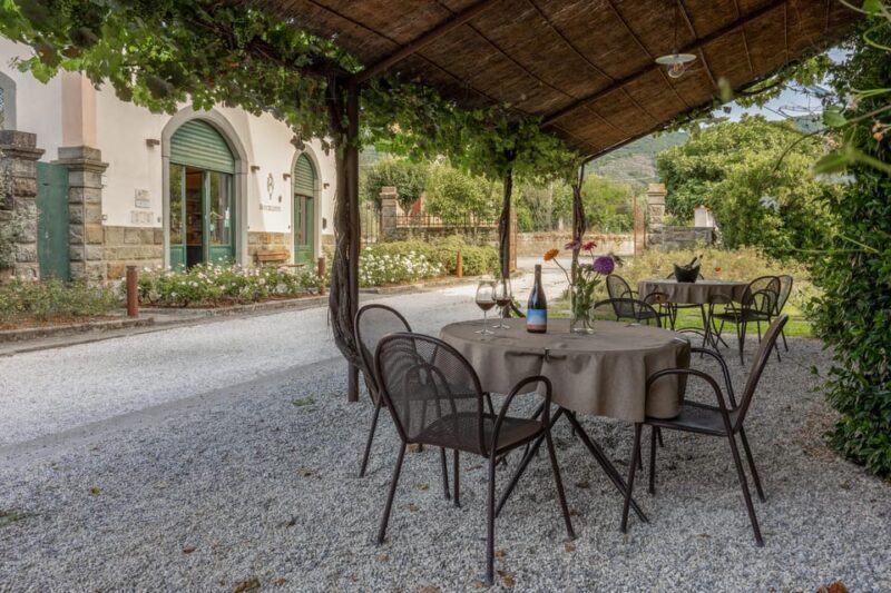 Tuscany: White Wine Tasting with Aperitivo at a Local Winery - Good To Know  