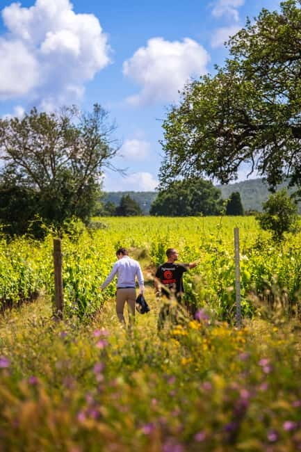 Tuscany: Wine Tasting Experience - An In-Depth Look at the Tuscany Wine Tasting Tour