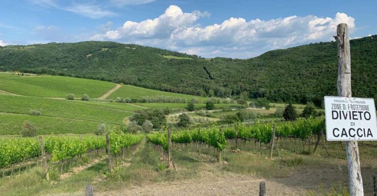 TUSCANY: WINE TASTING IN THE HEART OF CHIANTI CLASSICO - Unique Experience