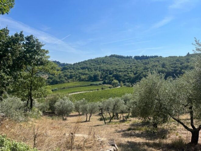 TUSCANY: WINE TASTING IN THE HEART OF CHIANTI CLASSICO - Important Information