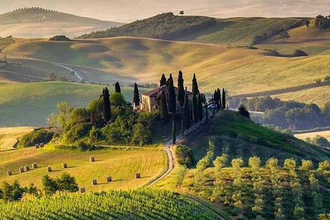 Tuscany Wine Tour From Rome With Private Driver - Traveler Reviews