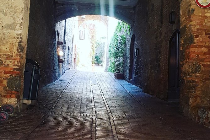 Tuscany Wine Tour: Siena & San Gimignano From Rome, Private Group - Unesco-Listed San Gimignano With Medieval Towers