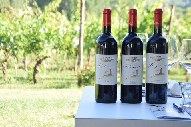 Tuscany Wine Tours in a Family Winery Podere Pellicciano - Cancellation Policy