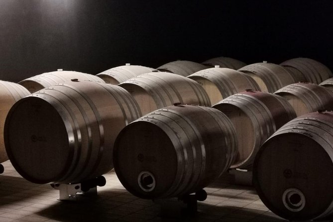 Tuscany Winery Tour and Tasting  - Siena - History of Tuscan Winemaking