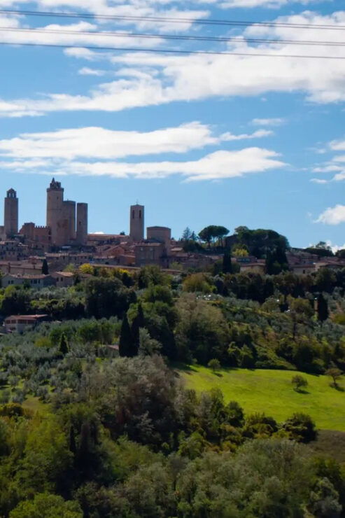 Tuscanys Heart: Wine Tasting of 3 Wines in Iconic Location - Good To Know