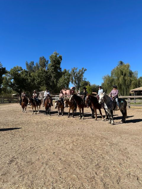 Tuscon: Rancho De Los Cerros Horseback Riding Tour - Experience Highlights