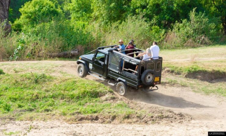 Tusker Safari at Kalawewa National Park - Activity Details