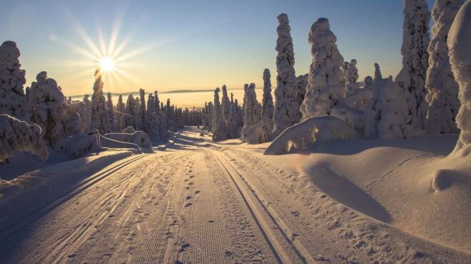 Tux: Ski Rental - Convenient Location and Knowledgeable Staff