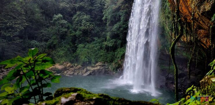 Tuxtla Gutierrez: Agua Azul, Misol Ha & Palenque Experience - Experience Highlights of the Journey