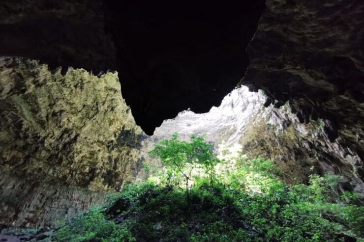 Tuxtla Gutierrez: Rappelling at Sima Del Cielo - Activity Details