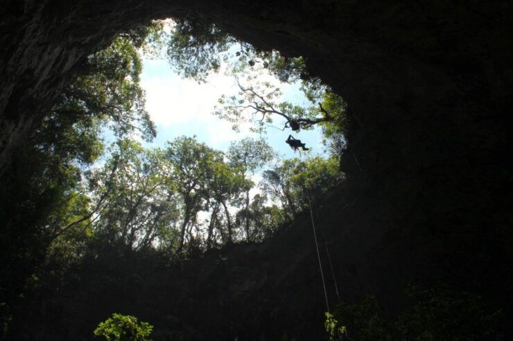 Tuxtla Gutierrez: Rappelling at Sima Del Cielo - Booking Information