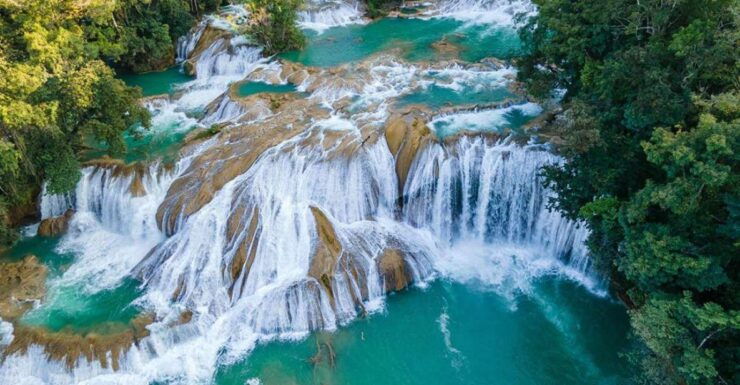 Tuxtla Gutiérrez: Ruta Maya - Archaeological Sites Flight - Booking Details