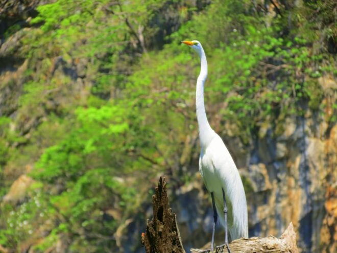 Tuxtla: Sumidero Canyon, San Juan Chamula & Zinacantán Tour - Zinacantán Exploration