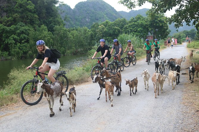 Tuyet Tinh Coc - Hoa Lu/Mua Cave - Trang an Day Trip Offers a Variety of Activities Such as Rock Climbing, Biking, and Boat Rides - Directions to Hoa Lu/Mua Cave and Trang an
