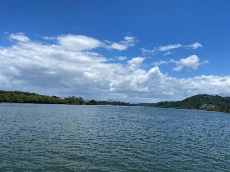 Tweed River Cruise: relax with a Morning Tea cruise - Who Will Love This Experience?