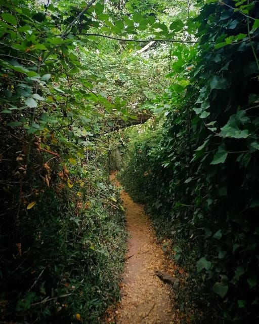 Twilight Hiking in Sintra With a Local Writer - Experience Highlights