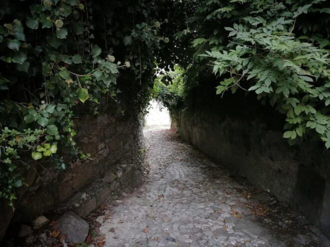 Twilight Hiking in Sintra With a Local Writer - Meeting Point and Logistics