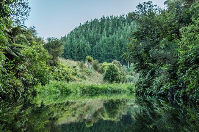 Twilight Kayak Glow Worm Tour - Cancellation Policy