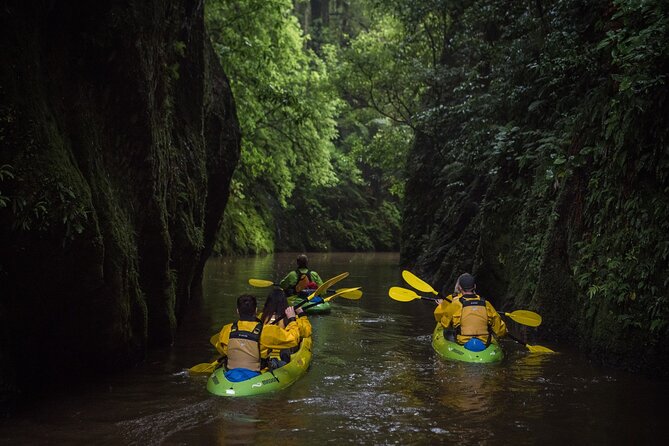 Twilight Kayak Glow Worm Tour - Traveler Reviews and Pricing
