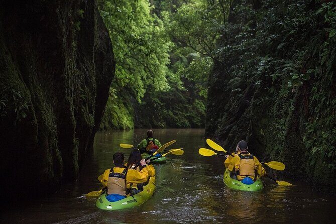 Twilight Kayak Glowworm Tour with Stargazing - Good To Know