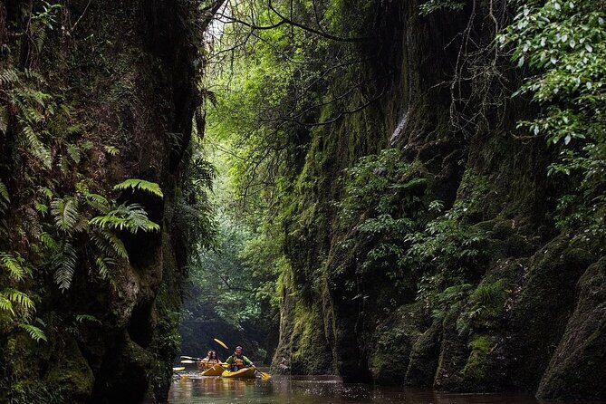 Twilight Kayak Glowworm Tour with Stargazing - Who Would Love This Tour?