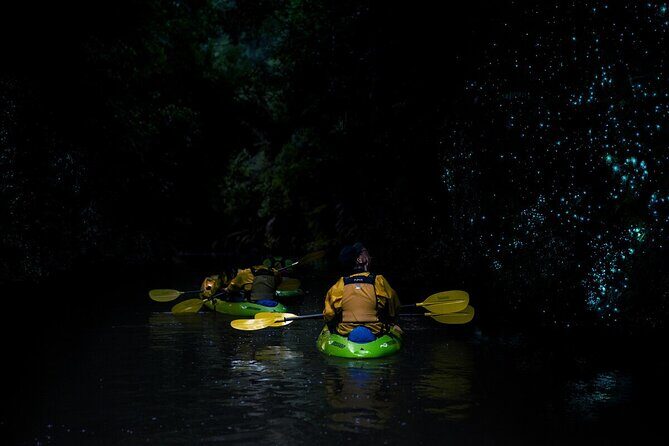 Twilight Kayak Glowworm Tour with Stargazing - Frequently Asked Questions (FAQs)