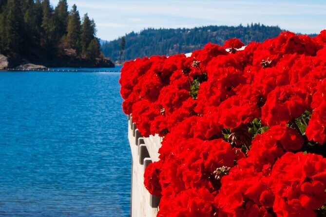 Twilight Rydables Guided Tours Evening Adventure in Coeur d'Alene - The Sum Up