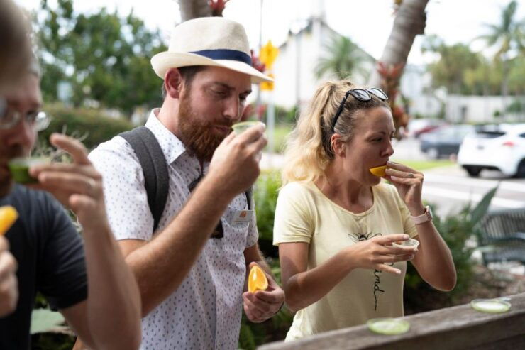 Twilight Sip and Dine St. Petersburg - Tour Overview