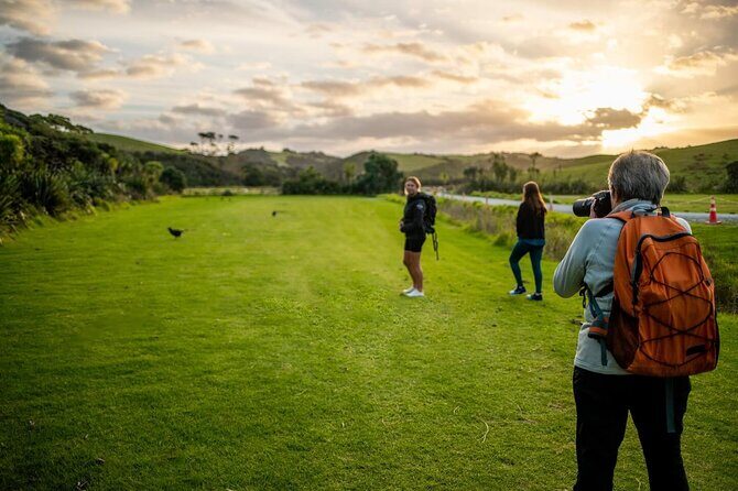 Twilight Wild Kiwi Bird Encounter Private Tour - Good To Know