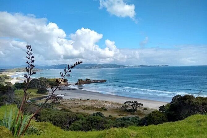 Twilight Wild Kiwi Bird Encounter Private Tour - Final Thoughts: Is It Worth It?