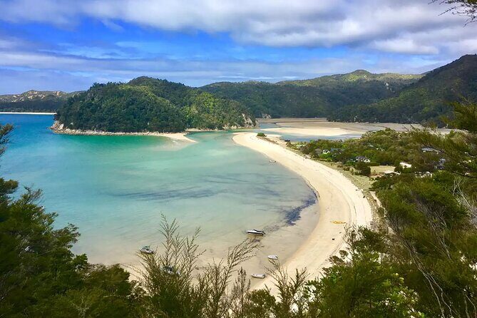 Twilight Wild Kiwi Bird Encounter Private Tour - Frequently Asked Questions