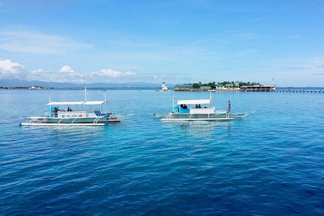 Twin Island Snorkeling Adventure at Hiltungan and Nalsuan - Small-Group Experience