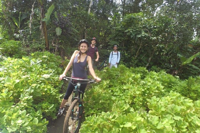 Twin Lake Bali Cycling Tour - Logistics and Convenience