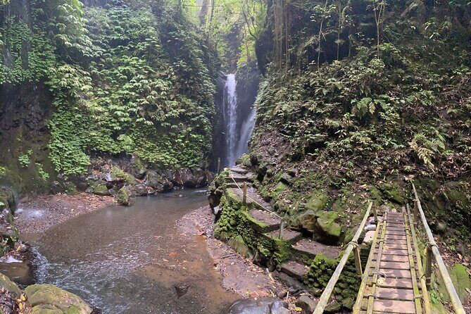 Twin Waterfalls Private Tour in Bali - Practical Details and Tips