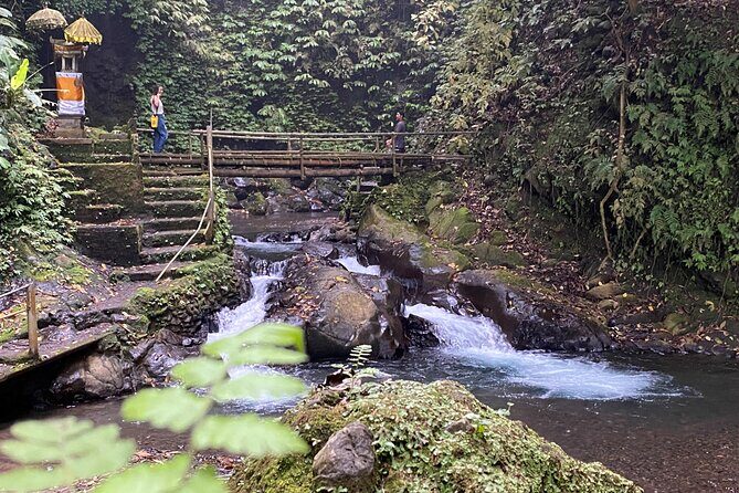 Twin Waterfalls Private Tour in Bali - Why This Tour Works