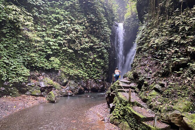Twin Waterfalls Private Tour in Bali - Who Is This Tour Best For?