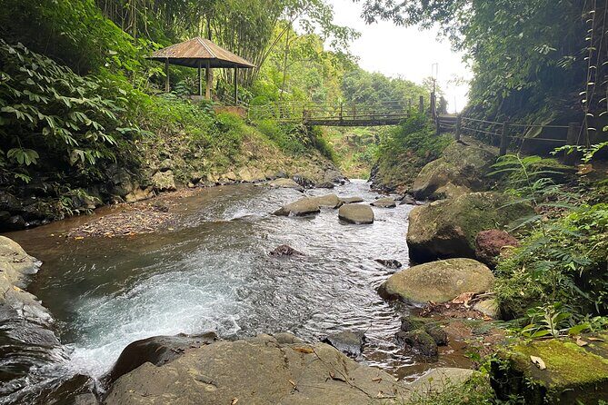 Twin Waterfalls Private Tour in Bali - Exploring the Itinerary in Detail