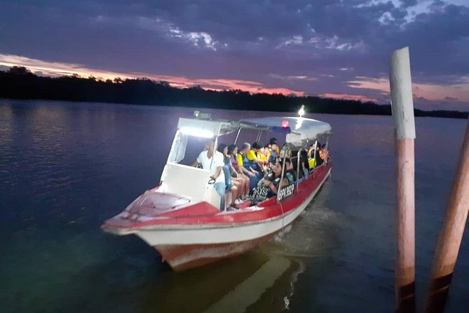 Twinkling Kuala Selangor Firefly Boat Tour From Kuala Lumpur - Recommendations