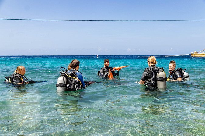Two and a Half Hours Scuba Diving Experience in Curacao - Who Should Consider This Tour?