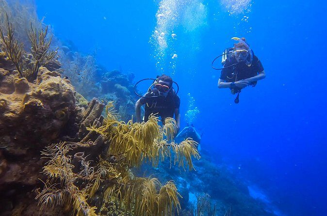 Two and a Half Hours Scuba Diving Experience in Curacao - Final Thoughts