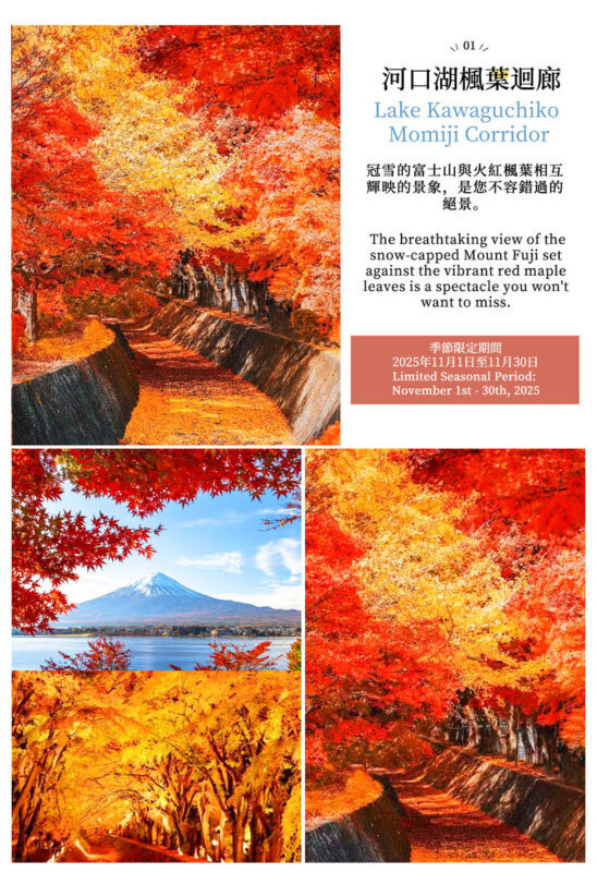 Two-Day Mount Fuji Cycling Tour | Kawaguchiko Panoramic Ropeway & Matcha Experience + Oishi Park + Oshino Hakkai + Hirano no Hama + Yamanakako Cycling / Boat Trip + Popular Check-In Spots | Includes 1 Night Hot Spring Hotel - Two days, many versions of Mount Fuji