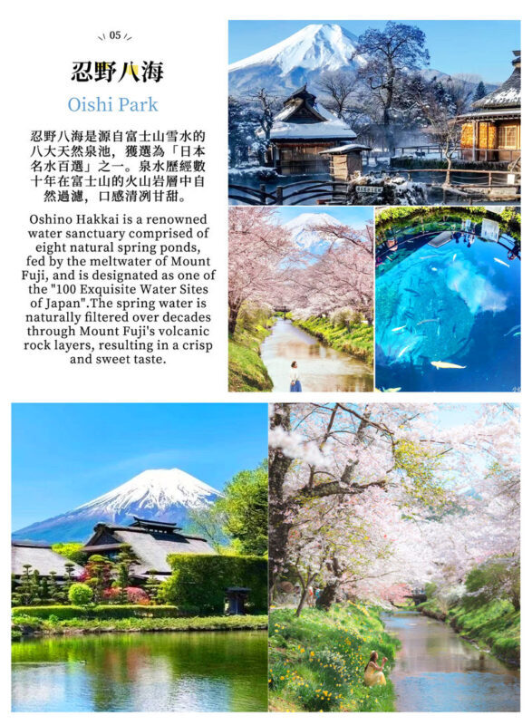 Two-Day Mount Fuji Cycling Tour | Kawaguchiko Panoramic Ropeway & Matcha Experience + Oishi Park + Oshino Hakkai + Hirano no Hama + Yamanakako Cycling / Boat Trip + Popular Check-In Spots | Includes 1 Night Hot Spring Hotel - McDonald’s, Lawson, and the Fuji photo circuit