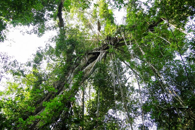 TWO-DAY NAM CAT TIEN NATIONAL PARK From HO CHI MINH CITY - Pricing and Guarantee