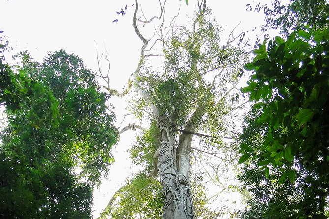 TWO-DAY NAM CAT TIEN NATIONAL PARK From HO CHI MINH CITY - Overview of the Tour