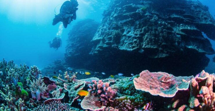 Two Day Semi-Private Scuba Diving Experience - Activity Highlights Overview