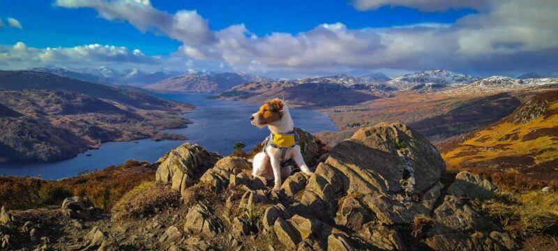 Two Day Taster Tour of Skye and the Highlands - The Sum Up